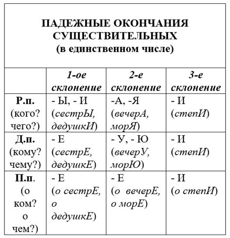 Существительное. Склонение и падежи — что это, определение и ответ