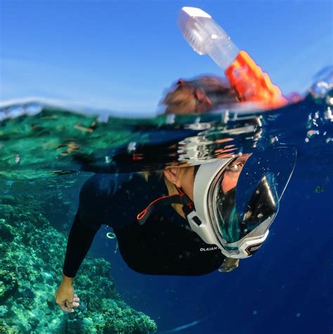 Snorkeling-freediving ~ Go Dive Malta