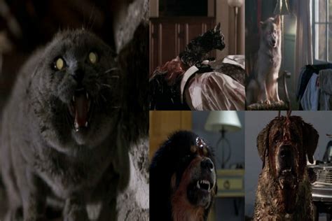 Top Ten Horrific Pets - Horror Movie - Horror Homeroom