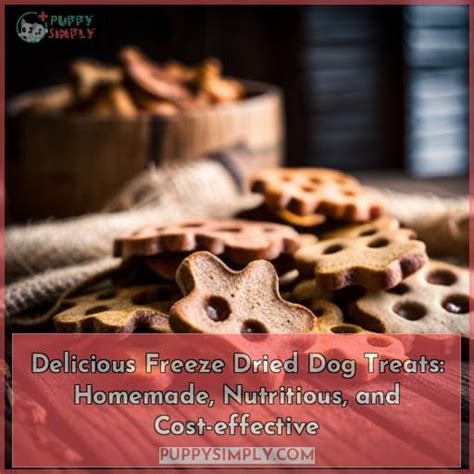 Delicious Freeze Dried Dog Treats: Homemade, Nutritious, and Cost-effective