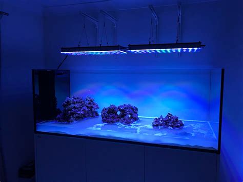 Best LED Lights for Reef Tank 2018-2019 Review | REEF2REEF Saltwater and Reef Aquarium Forum