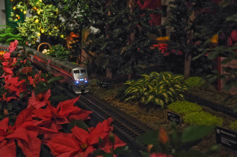 Craves, Caves, & Graves: Holidays at the Missouri Botanical Garden