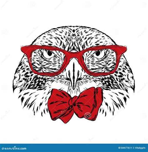 Bird Glasses. Vector Illustration. Stock Vector - Illustration of ...