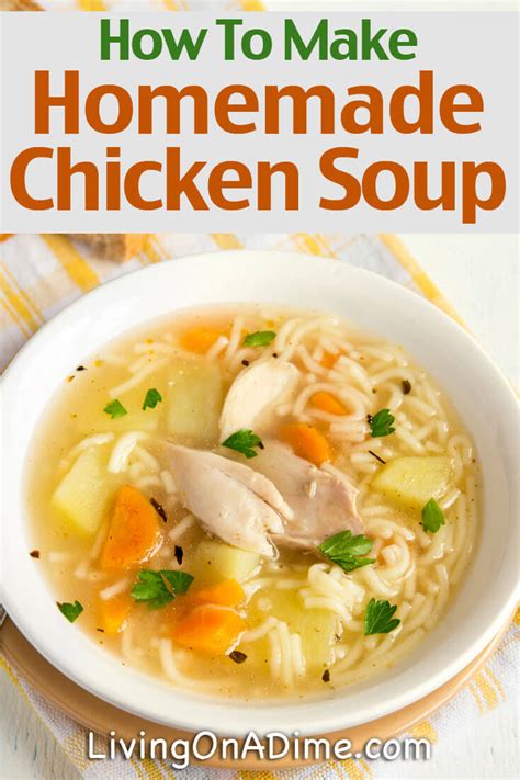 Homemade Chicken And Turkey Soup Recipes