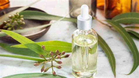 Obat Batuk Pilek Tradisional Untuk Bayi 6 Bulan