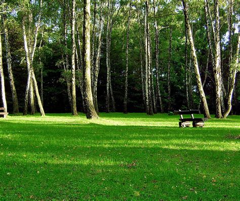 1080P Descarga gratis | Pasto verde, jardín, paz, Fondo de pantalla HD | Peakpx