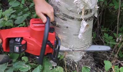 Milwaukee Chainsaw Review [Special for M18 Fuel Chainsaw]