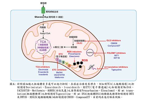 財團法人乳癌防治基金會