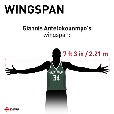 Giannis Antetokounmpo Wingspan