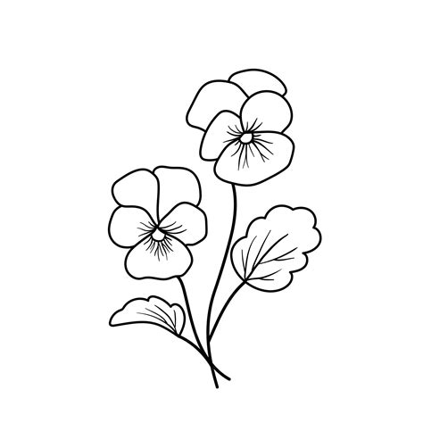 Premium Vector | Violet flower outline vector plant isolated on white