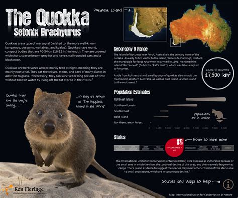 The Happiest Animal in the World: The Quokka - Ken Flerlage: Analytics Architecture, Strategy ...