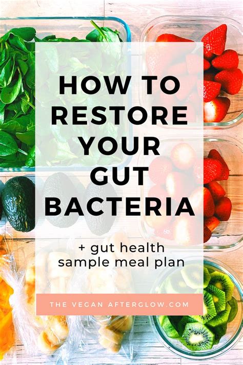 How To Restore Your Gut Bacteria - the vegan afterglow | Healthy gut ...