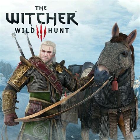 The Witcher 3: Wild Hunt - Skellige Armor Set | Deku Deals