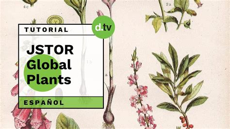 DOTLIB - JSTOR Global Plants (Español) - Tutorial - YouTube