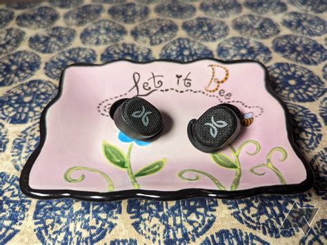 Are Jaybird Vista 2 earbuds waterproof? - STD Monitor