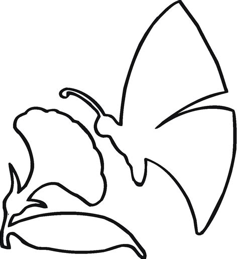 Butterfly Outline Drawings - ClipArt Best