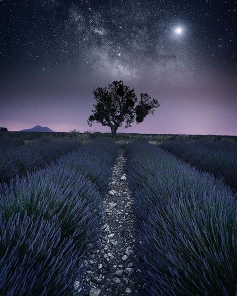 Starry Night | Milky way photography, Nature photographs, Landscape ...