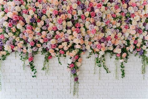 Flower Wall Stock Photos, Pictures & Royalty-Free Images - iStock