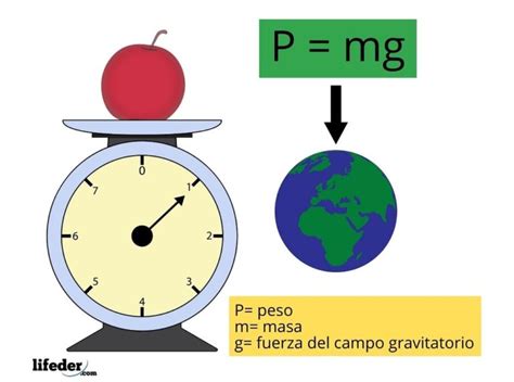 Peso (física): cálculo, unidades, ejemplos, ejercicios