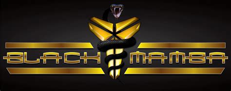 Black Mamba Logo Wallpapers - Top Free Black Mamba Logo Backgrounds - WallpaperAccess