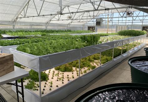 Flourish Farm Aquaponic Systems | The Aquaponic Source