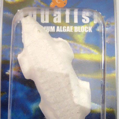 Aquarium Algae Block Clam Shell - Aquafish Australia