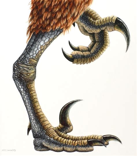 Dromaeosaurus by EsthervanHulsen on DeviantArt