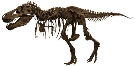 Entrepreneur changes name to Tyrannosaurus rex | Science Buzz