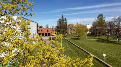 University of Vaasa Executive Education