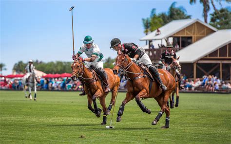 Why polo, the sport of kings is no longer reserved for royalty