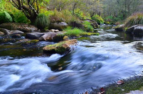 Free picture: water, stream, river, waterfall, nature, creek, landscape