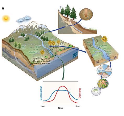 Watershed Diagram