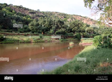 Limpopo River Stock Photos & Limpopo River Stock Images - Alamy