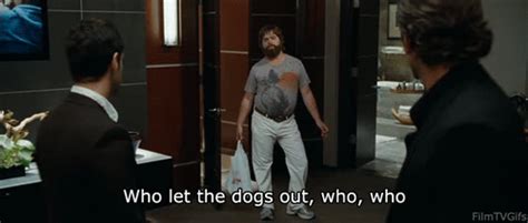 When He Does a Little "Who Let the Dogs Out" Dance | Funny Zach Galifianakis GIFs | POPSUGAR ...