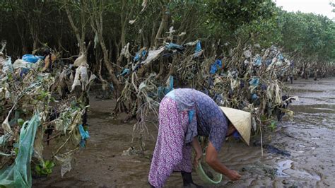 Rising Sea Levels And Disappearing Mangrove Forests Spell Trouble For Vietnam — Radio Free Asia