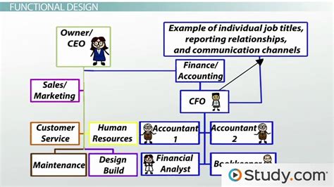 Types of Organizational Structure | Overview & Examples - Lesson | Study.com