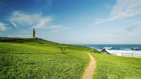 Sea Field 4K Ultra HD Wallpaper [3840x2160]