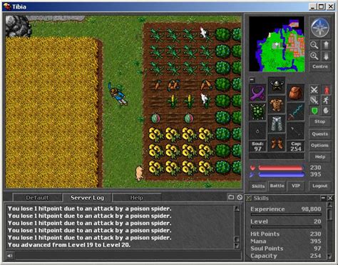 Tibia Review and Download