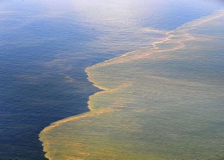 Deepwater Horizon oil spill - Wikipedia