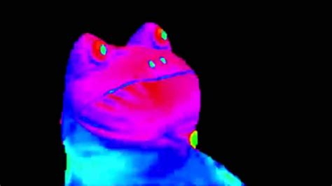 MLG Rainbow Frog - YouTube