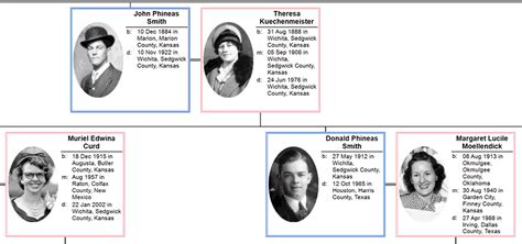 Descendant Chart Examples | Family tree chart, Genealogy software, Chart design