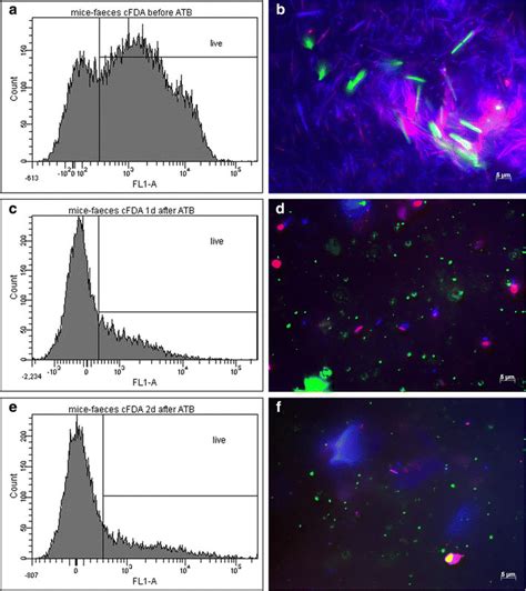 Viability of microorganisms in faeces determined by FACS and visualized... | Download Scientific ...