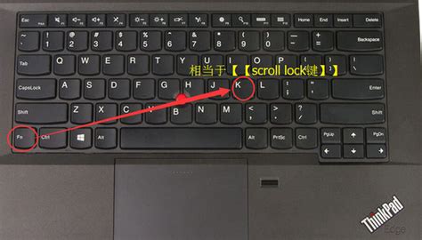 thinkpad e420的scroll lock键在哪_百度知道
