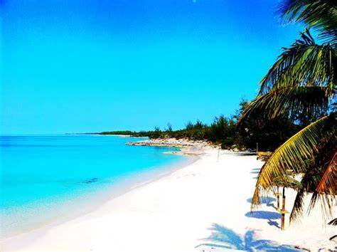 Sandy Toes (Nassau, Bahamas): Address, Phone Number, Tickets & Tours ...