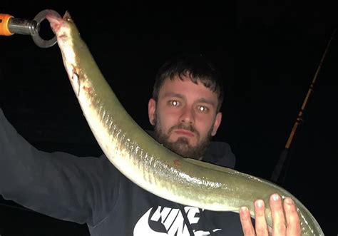 Long, slick and wiggly — that's an American eel caught on the Ohio River | Pittsburgh Post-Gazette