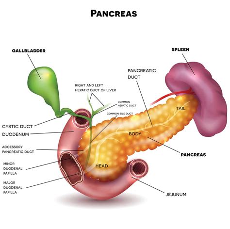 Pancreatic Cancer Symptoms | Johns Hopkins Medicine