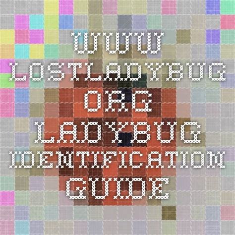 www.lostladybug.org. Ladybug identification guide | Activities for kids, Homeschool, Coding