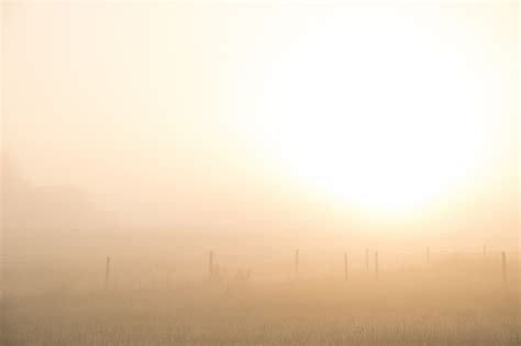 Wallpaper : sunlight, sunset, field, sunrise, morning, mist, horizon ...