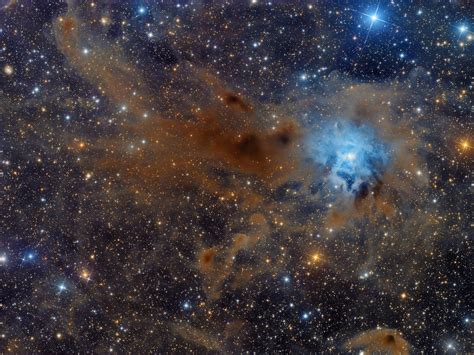 NGC 7023: La Nebulosa Iris | Accademia delle Stelle