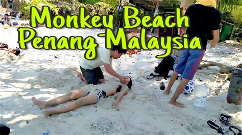 Monkey Beach Penang National Park the great travel in the world - YouTube